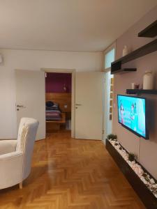 斯雷姆斯卡米特罗维察River Lux的客厅配有白色沙发和平面电视。