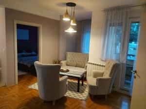 斯雷姆斯卡米特罗维察River Lux的客厅配有沙发、椅子和桌子