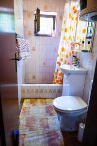 拉多维奇Hidden Gem of Krasici的浴室配有卫生间、盥洗盆和淋浴。