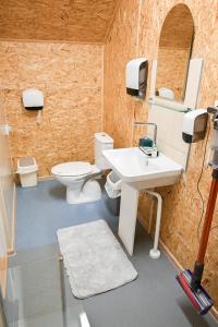 哈普萨卢Haapsalu Kunstikooli hostel的浴室配有白色水槽和卫生间。