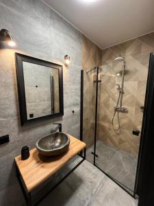 克鲁斯兹考采View & Spa Villa的一间带水槽和淋浴的浴室