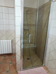 埃尔切CASA JOAN的浴室里设有玻璃门淋浴