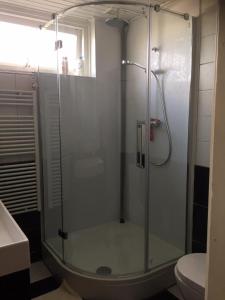 登霍伦Texelstrand的一间带卫生间的浴室内的玻璃淋浴间