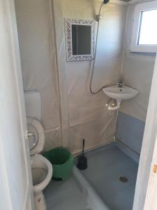 科斯蒂内什蒂Casute tip A costinesti的一间带卫生间和水槽的小浴室