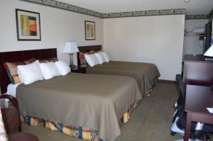 温尼马卡温尼马卡假日汽车旅馆 的酒店客房配有两张床和一张书桌