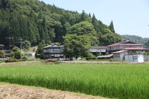 日式旅馆周边自然景观