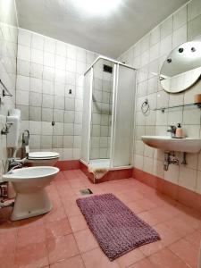 采尔克诺Apartments Špik的浴室配有卫生间、盥洗盆和淋浴。