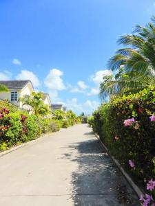 基督教堂市Terracotta Enterprise - Gated Community Home的一条有鲜花和棕榈树的道路