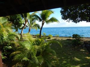 Pueu派佑村酒店的享有棕榈树海滩和大海的景色
