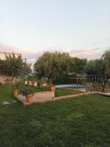 San CalogeroIl colle degli ulivi的一个带游泳池和围栏的院子