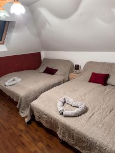 Tündérerdő客房内的一张或多张床位
