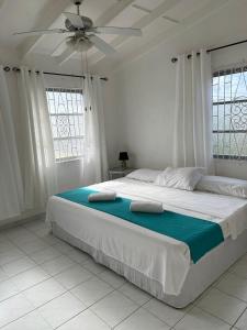 基督教堂市Home2Home Guesthouse的白色卧室配有一张带吊扇的大床