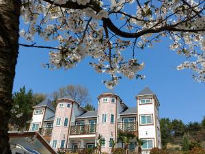 统营市贝尔加里旅馆的前面有樱树的建筑的图象