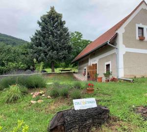 鲍洛托奈代里奇Balaton home with a majestic view的相册照片