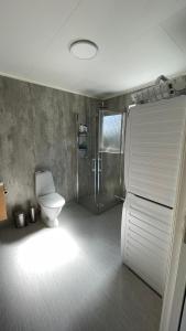FlodaFloda, Minihus på 62m2 för plats för 4 vuxna och 2 barn的带淋浴、卫生间和淋浴间的浴室