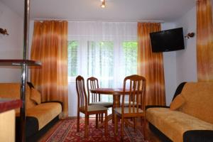 克拉斯诺布鲁德Leśny Zakątek的客厅配有桌椅和沙发