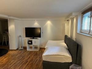 代特莫尔德Detmold - Hiddesen - Premium - Appartement的一间卧室配有一张床和一台平面电视