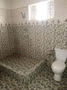 图阿马西纳TAMATAVE Chez Bien Aimée的一间带卫生间和淋浴的浴室。