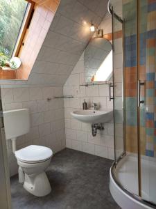 Apartment 1 Unter den Eichen的一间带卫生间和水槽的浴室