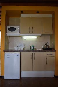 拉帕洛马索塔文托公寓式酒店的厨房配有白色冰箱和微波炉
