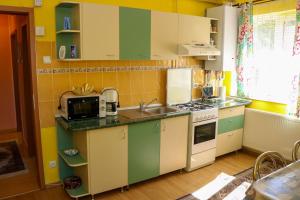 乔阿久拜Apartament Iulia的厨房配有绿色和白色的橱柜和水槽