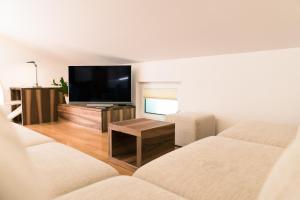 科巴里德Apartma Tale的客厅配有2张沙发和1台平面电视