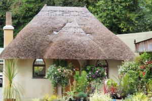 圣奥斯特尔Pinetum Garden Cottages的茅草屋顶的小房子