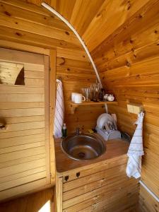 塞尔纳珀苏马维Hobití chatka Lipno的小木屋内带水槽的浴室