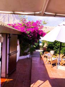 库斯托纳奇Villamare的户外庭院拥有粉红色的鲜花和遮阳伞。