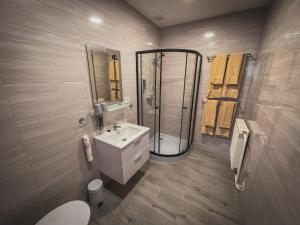 伦布尔克Hotel Apartment Faraon的一间带水槽、淋浴和卫生间的浴室