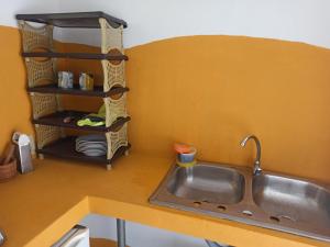 博卡奇卡Boca Brava Lodge的厨房柜台设有水槽和架子