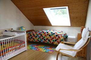 洪堡Ferienwohnung Klosterblick的一间设有一张婴儿床和天窗的客房