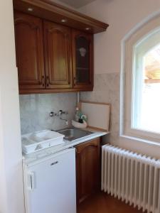乔保克Csopak Mariann Apartman的厨房配有木制橱柜、水槽和窗户。