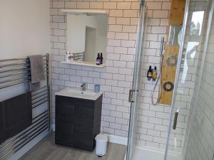LochalineLochaline Hotel的浴室配有盥洗盆和带镜子的淋浴