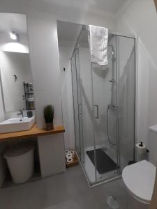 伊利亚武Amália Rodrigues -apartamento com 3 quartos em pleno coração de Ílhavo的带淋浴、卫生间和盥洗盆的浴室