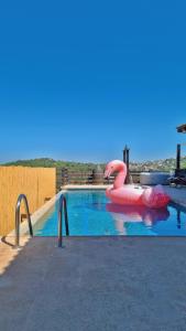 ‘IsfiyāSavannah suite的水中带粉红色充气面的游泳池