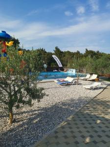 班约勒Camping Volme的一个带游泳池、椅子和树的度假村