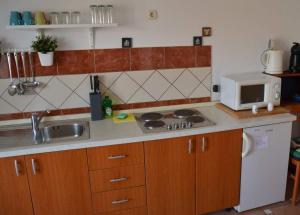 帕格Apartments Burcul Pag的一间带水槽和微波炉的小厨房