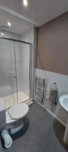 埃伦港Cala Sith Guesthouse的浴室配有卫生间、淋浴和盥洗盆。