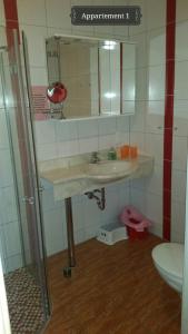 格拉尔-米里茨Haus Mareén的一间带水槽、镜子和卫生间的浴室