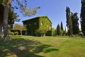 塔尔奎尼亚Casale Teresa的绿地上常春藤覆盖的房子