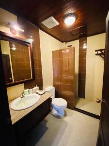 琅勃拉邦Luang Prabang Maison Vongprachan & Travel的一间带水槽、卫生间和淋浴的浴室