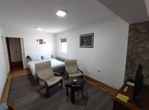 莱斯科瓦茨Nikolic Apartment的酒店客房,配有一张床和两把椅子