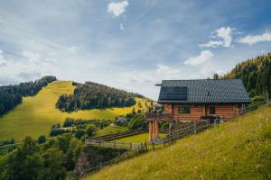 ZirkitzAdlerkopfhütte的山上的小屋,设有太阳能屋顶