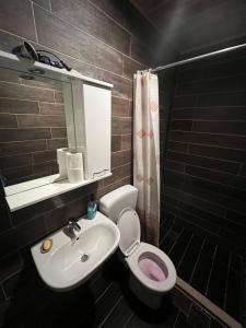 扎布利亚克Dormire Apartmans的一间带水槽、卫生间和镜子的浴室