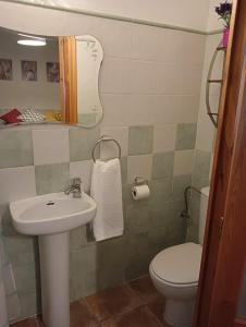 贝塞特Apartamento Burgués的一间带水槽、卫生间和镜子的浴室