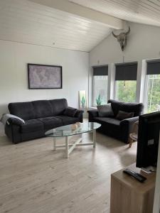 SöråkerVilla Båthamnsgatan的客厅配有黑色沙发和玻璃桌