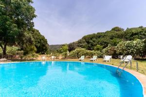 卡萨雷斯Finca Santa Teresa, Casa La Higuera的一个带椅子和树木的大型蓝色游泳池