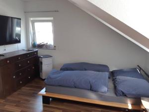 新乌尔姆Tolle Wohnung in zentraler Lage in Neu-Ulm的一间卧室配有一张带蓝色枕头的床。