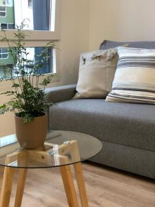 卢戈Apartamentos CANDEA的客厅配有沙发和带盆栽的桌子